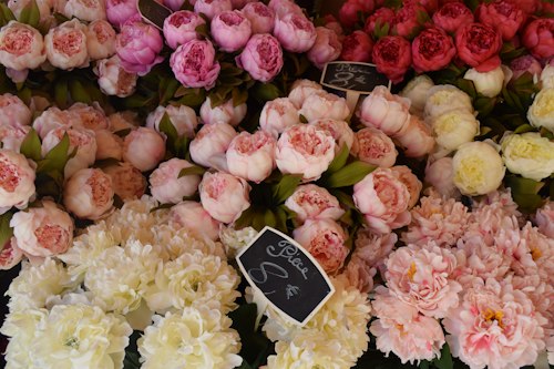 A flower bouquet